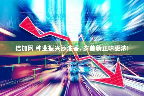 倍加网 种业振兴添油香, 岁首新正味更浓!