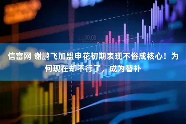 信富网 谢鹏飞加盟申花初期表现不俗成核心！为何现在却不行了，成为替补