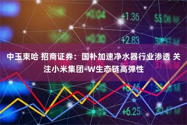 中玉束哈 招商证券：国补加速净水器行业渗透 关注小米集团-W生态链高弹性
