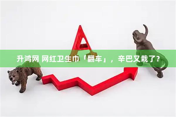 升鸿网 网红卫生巾「翻车」，辛巴又栽了？