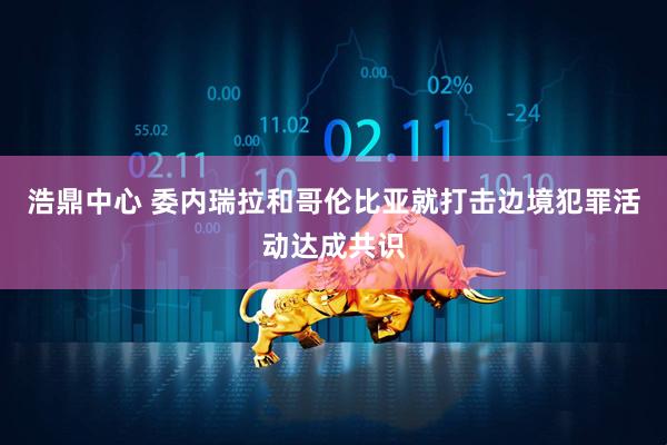 浩鼎中心 委内瑞拉和哥伦比亚就打击边境犯罪活动达成共识